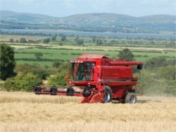 Liam Robb, Drumbouy, Newtown, during a sunnier harvest at Hamilton's farm, Newtown in September 2008.