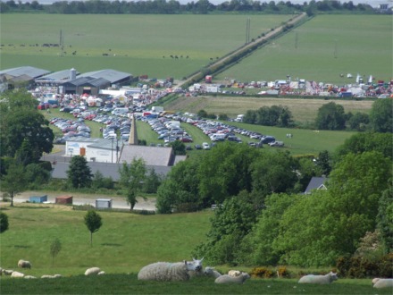 A hill-top view of the Sheep Shearing Championships in sunny Burt. These creatures, front of picture, wonder when they'll get the call for a hair-cut.