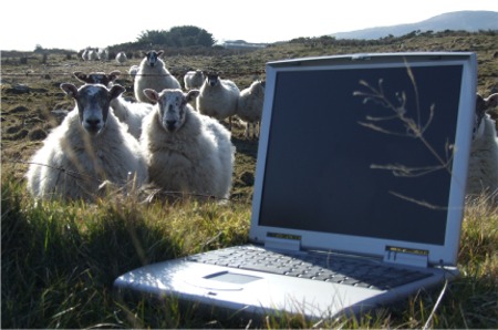 Inishowen farmers urged to get their applications in early for the Single Payment Scheme.