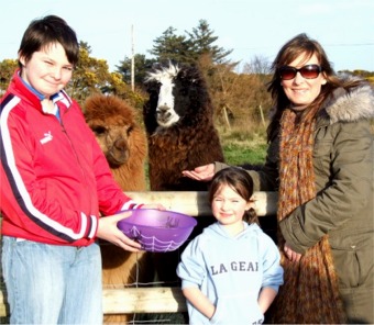 Joe, Twinkle, Domino, Iona and Irene